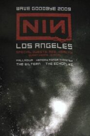 Nine Inch Nails: Live at the Wiltern Theatre 2009 on netflix
