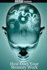Horizon: How Does Your Memory Work? 2008 on netflix