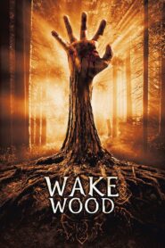 Wake Wood 2011 on netflix