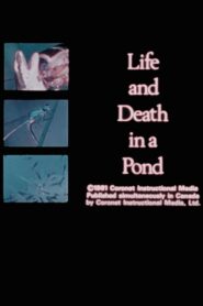 Life and Death in A Pond 1981 on netflix