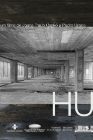 HU 2012 on netflix