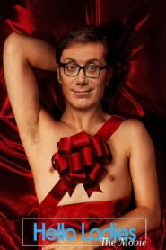 Hello Ladies: The Movie 2014 on netflix