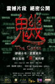 The Cases 2012 on netflix