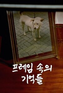 The Memories in My Frame 1994 on netflix