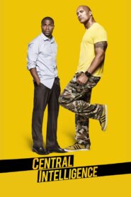 Central Intelligence 2016 on netflix