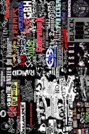 25 Years of Punk 2001 on netflix