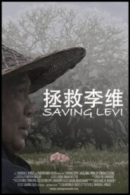 Saving Levi 2009 on netflix
