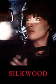 Silkwood 1983 on netflix