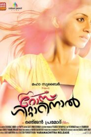 Rose Guitarinaal 2013 on netflix