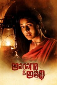 Anaganaga O Athidhi 2020 on netflix