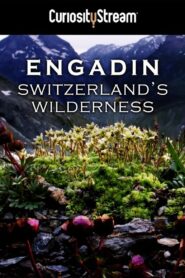Engadin: Switzerland’s Wilderness 2014 on netflix