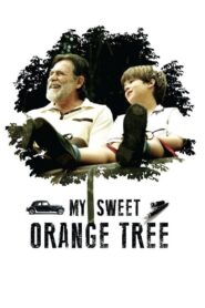 My Sweet Orange Tree 2013 on netflix