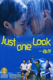 Just One Look 2002 on netflix