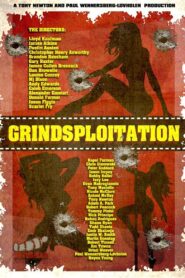 Grindsploitation 2016 on netflix