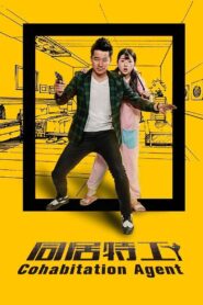 同居特工 2016 on netflix