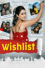 Wishlist 2020 on netflix