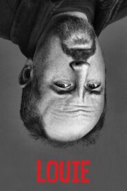 Louie – Sight Sound and Story 2015 on netflix