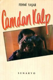 Camdan Kalp 1990 on netflix