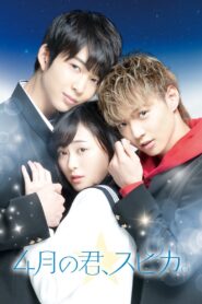 You Are Brilliant Like a Spica 2019 on netflix