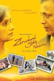 Zindagi Tere Naam 2012 on netflix
