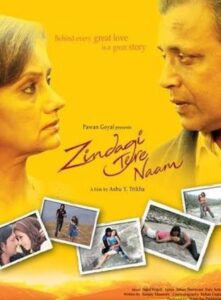 Zindagi Tere Naam 2012 on netflix