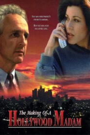 The Making of a Hollywood Madam 1996 on netflix