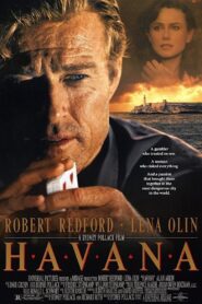 Havana 1990 on netflix