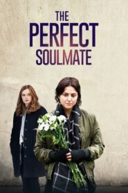 The Perfect Soulmate 2017 on netflix