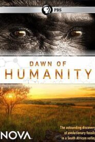 Dawn of Humanity 2015 on netflix