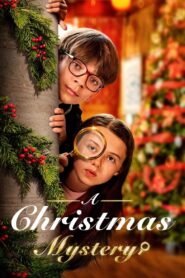 A Christmas Mystery 2022 on netflix