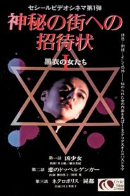 An Invitation to the Mysterious City: The Women in Black 1992 on netflix