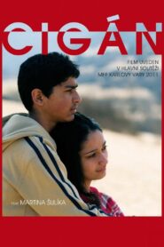Gypsy 2011 on netflix