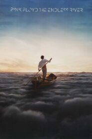Pink Floyd: The Endless River 2014 on netflix