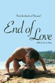 End of Love 2008 on netflix