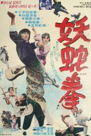 Lady Snake Fist 1980 on netflix