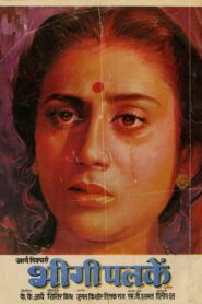 Bheegi Palkein 1982 on netflix