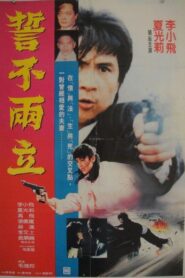 Duel of Death 1989 on netflix