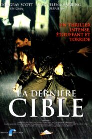 The Poet 2003 on netflix