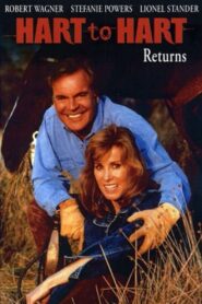 Hart to Hart Returns 1993 on netflix