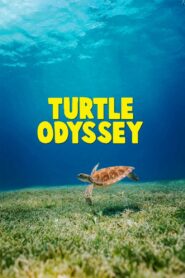 Turtle Odyssey 2018 on netflix