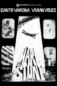 Hari Ng Stunt 1981 on netflix