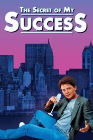 The Secret of My Success 1987 on netflix