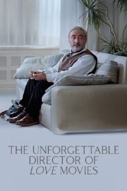 The Unforgettable Director of Love Movies 1990 on netflix