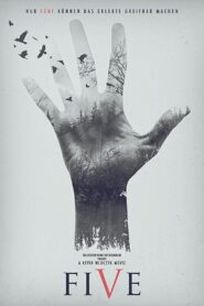 Five: Find Your Limit 2016 on netflix