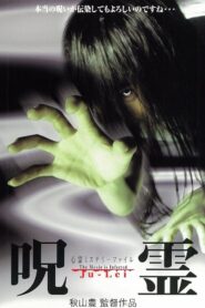 Psychic Mystery File: Cursed Spirit 2000 on netflix
