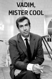 Vadim Mister Cool 2016 on netflix