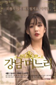 Gangnam Daughter-in-law 2019 on netflix