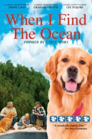 When I Find the Ocean 2006 on netflix