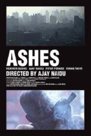 Ashes 2011 on netflix