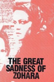The Great Sadness of Zohara 1983 on netflix